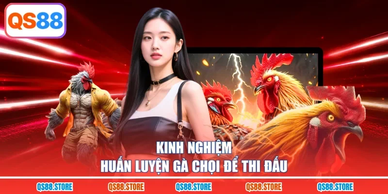 Kinh nghiệm huấn luyện gà chọi để thi đấu