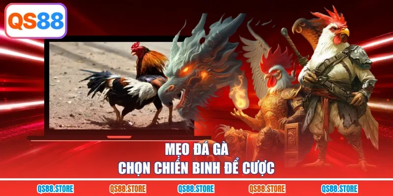Mẹo đá gà chọn chiến binh để cược
