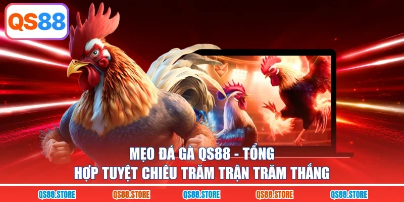 Mẹo Đá Gà QS88 - Tổng Hợp Tuyệt Chiêu Trăm Trận Trăm Thắng
