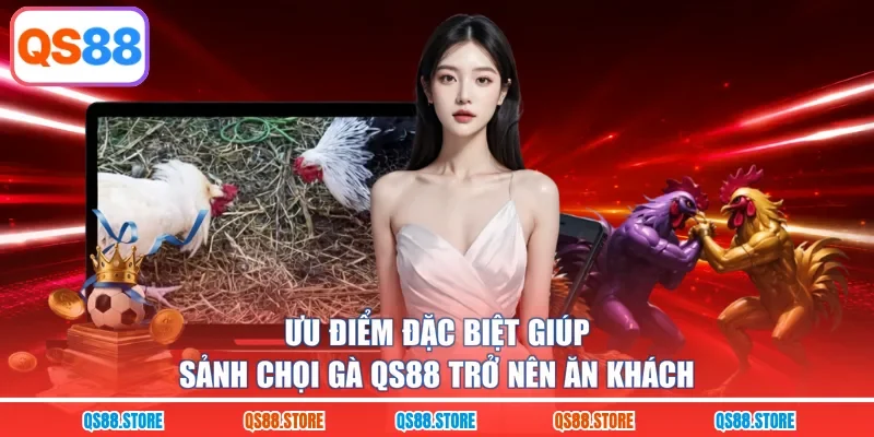 Ưu điểm đặc biệt giúp sảnh chọi gà QS88 trở nên ăn khách